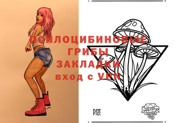 a pvp Богородицк