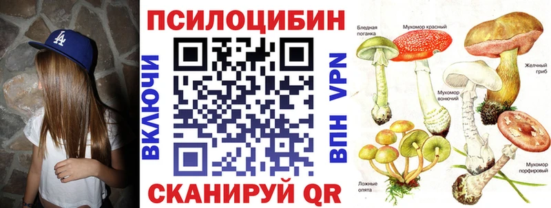 Псилоцибиновые грибы Cubensis  Великие Луки 