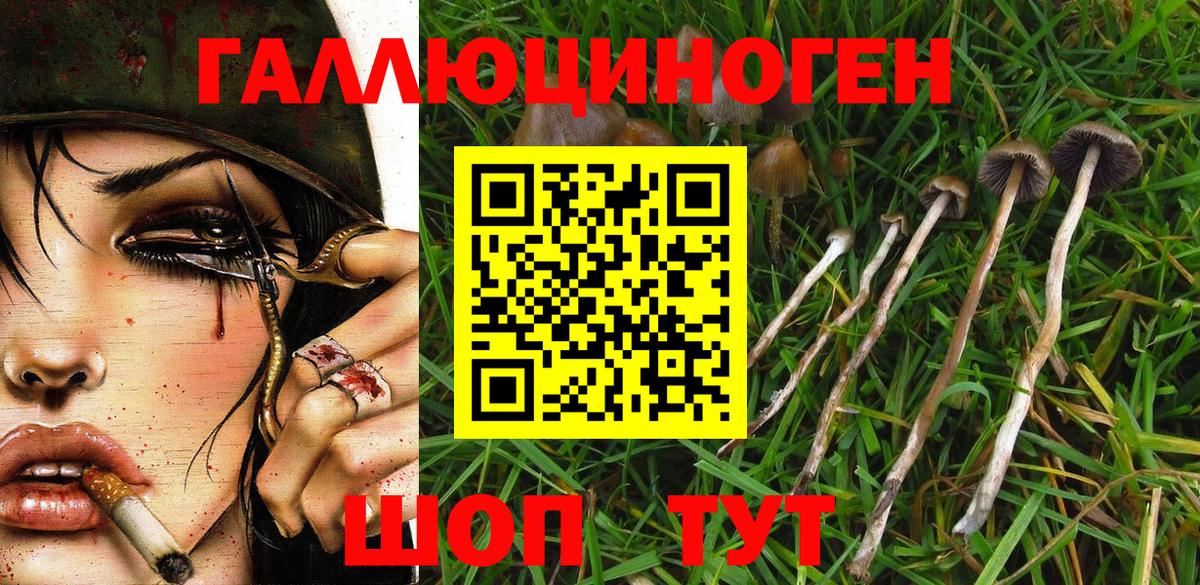 Великие Луки  Галлюциногенные грибы GOLDEN TEACHER  Вход с VPN 