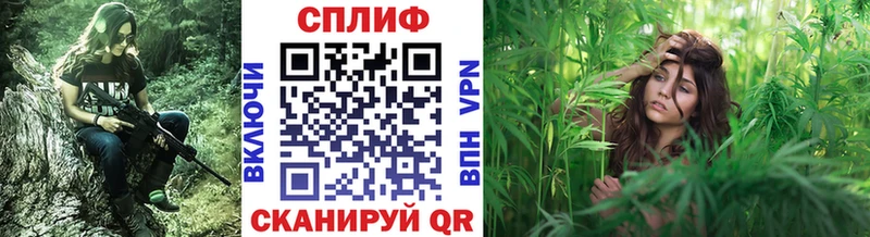 Бошки Шишки AK-47  как найти наркотики  Великие Луки 
