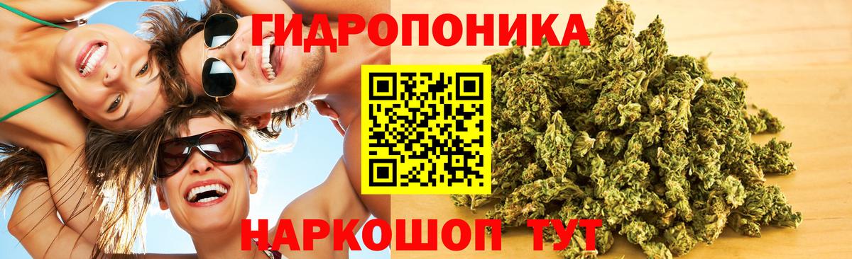 Бошки Шишки White Widow  Марихуана OG Kush  Вход с VPN  Канабис SATIVA & INDICA  Бошки марихуана планчик  Великие Луки 