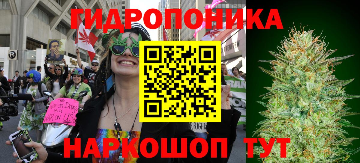 Бошки Шишки план Великие Луки